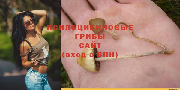 бошки Волоколамск