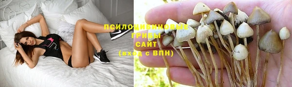 мдпв Волосово