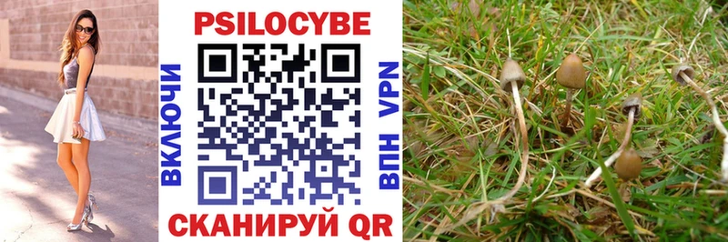 Псилоцибиновые грибы ЛСД  Купить где  Лодейное Поле 